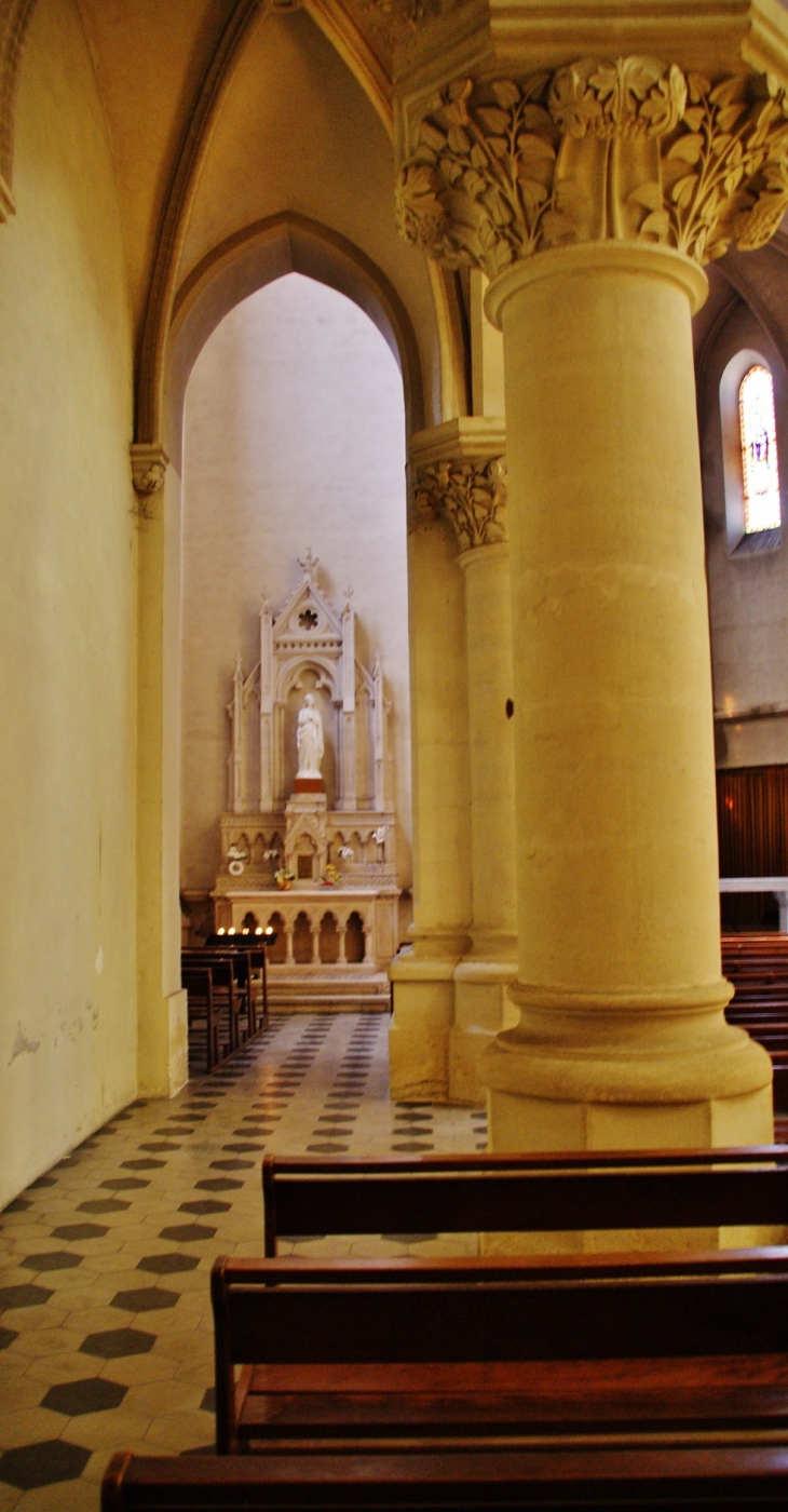  Cathédrale Saint-Vincent - Viviers