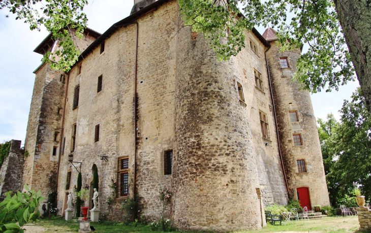 Le Château - Charmes-sur-l'Herbasse