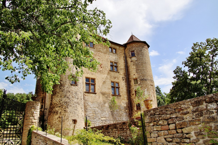 Le Château - Charmes-sur-l'Herbasse