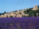 Village médiéval dominé par une ancienne commanderie de Malte, semblant émergé d'un champ de lavande (carte postale de 2000)