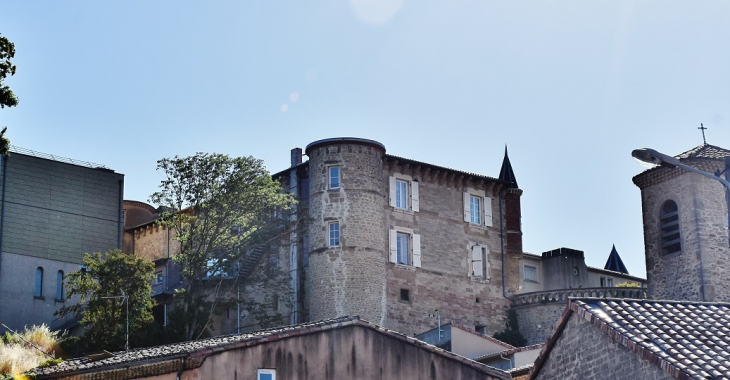Le Château - Montéléger
