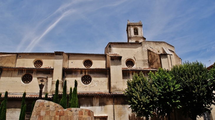 Collégiale Sainte-Croix  - Montélimar