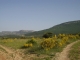 plateau de la Chau (843 m)