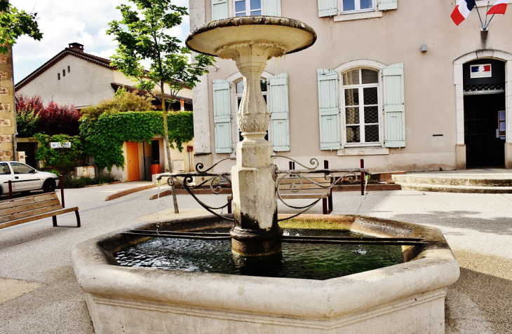 Fontaine - Saint-Barthélemy-de-Vals