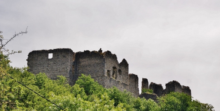 Ruines du Château - Soyans