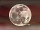 Un colvert sur une pleine lune à Chapeiry