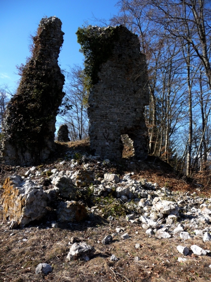 Ruine de l'ancien château (après effondrement) - Châtillon-sur-Cluses