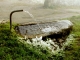 Photo suivante de Onnion Feuilles gelées autour d'une fontaine