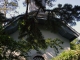 Photo suivante de Samoëns la chapelle du jardin alpin