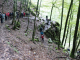 Photo suivante de Sixt-Fer-à-Cheval les gorges de Tines : la descente