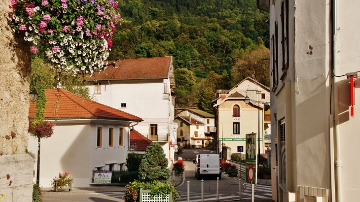 Photo à Allevard (38580) Allevard, 255324