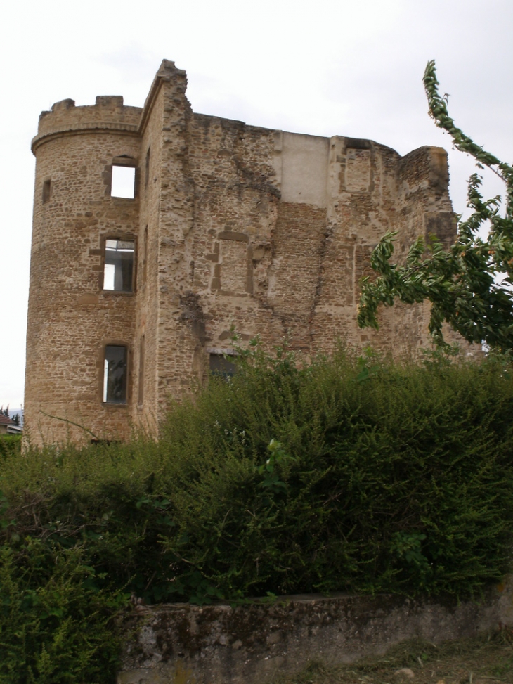 LE CHATEAU TOUR MEDIEVALE - Anjou
