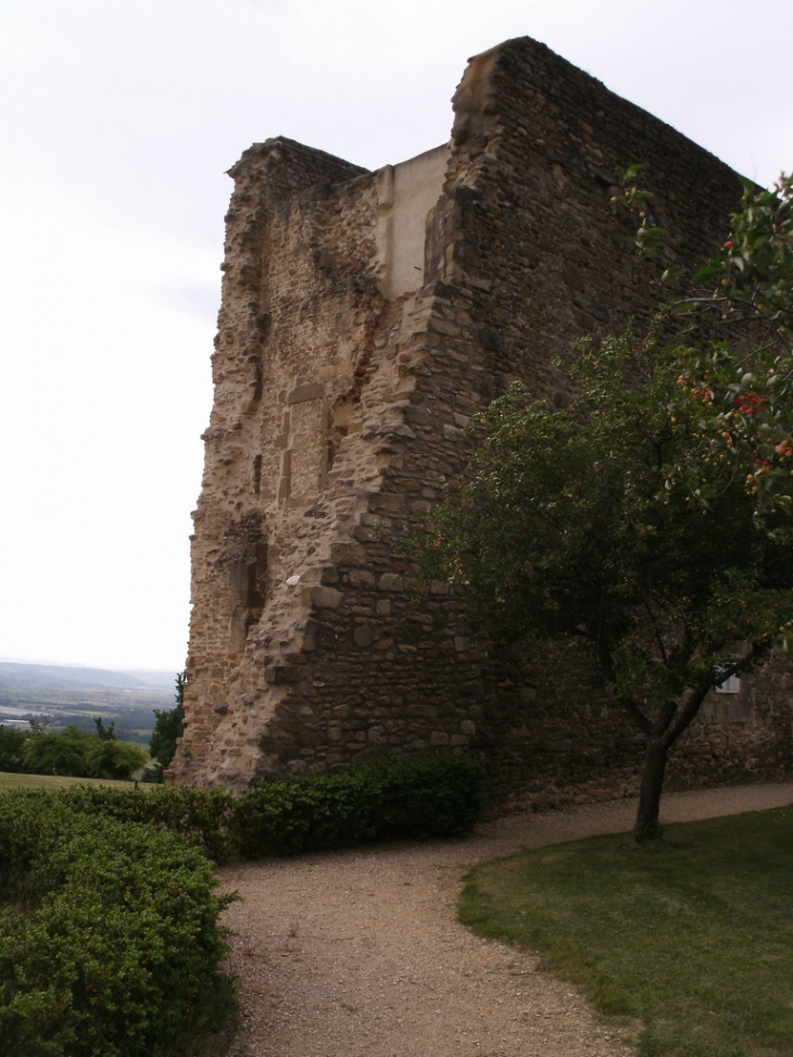 LE CHATEAU TOUR MEDIEVALE - Anjou