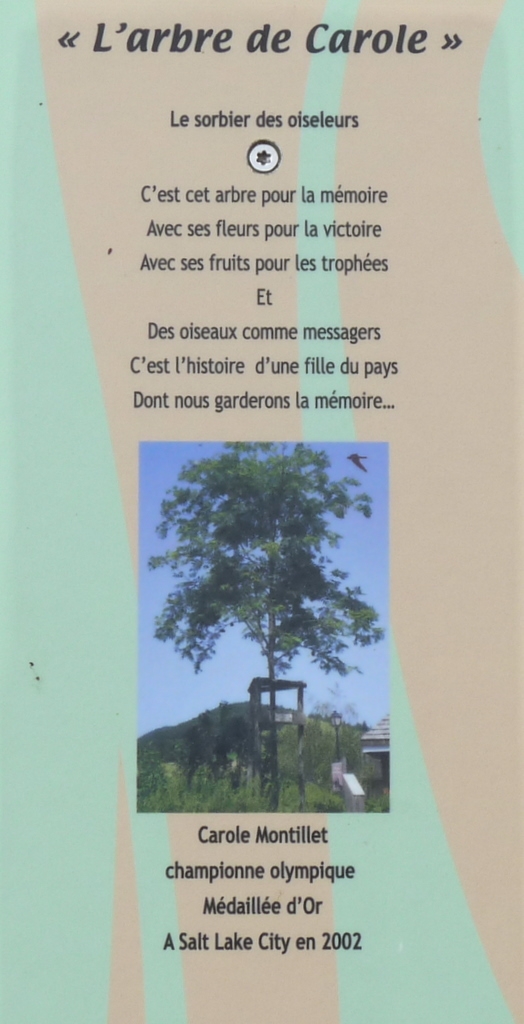 L'arbre de Carole - Corrençon-en-Vercors