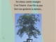 Photo suivante de Corrençon-en-Vercors L'arbre de Carole