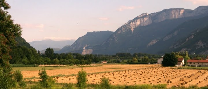 Les boites foins dans les champs a proximite du chemin de l'Eygaliere - La Buisse