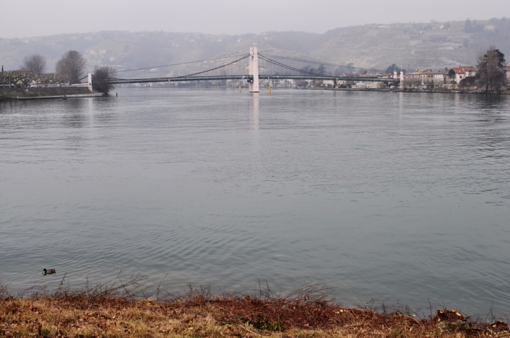 Le Rhône - Les Roches-de-Condrieu