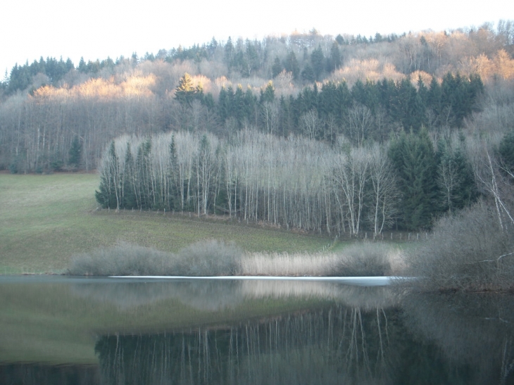 Lac de ST SIXTE en hiver - Merlas
