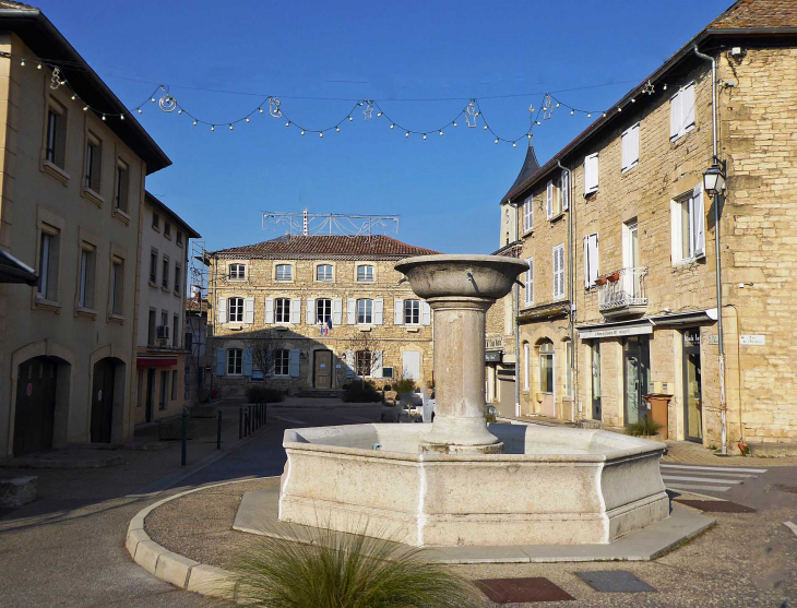Le centre : fontaine en face de la mairie - Saint-Alban-de-Roche