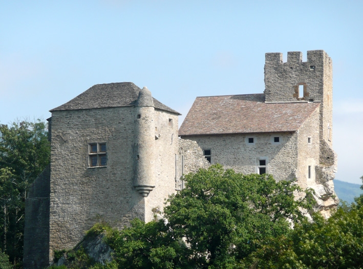 Vieux Château - Vertrieu