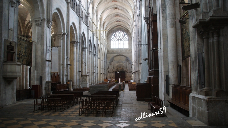 La Cathédrale Saint Maurice - Vienne