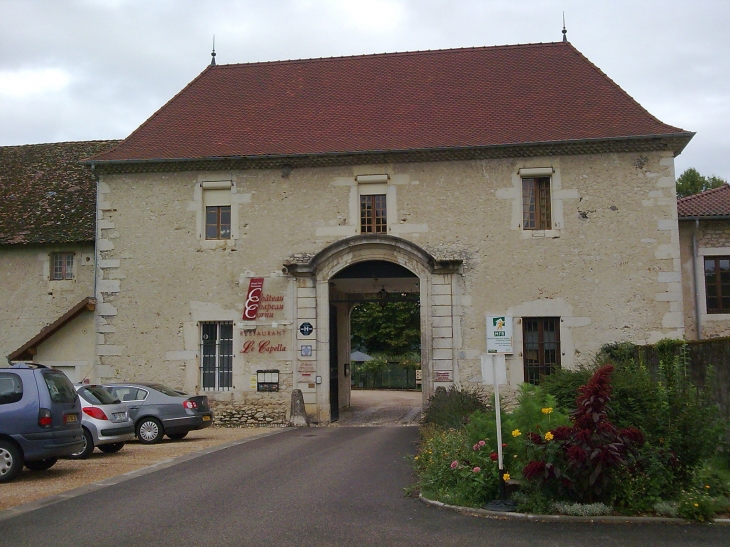 Vue sur le château de Chapeau Cornu - Vignieu