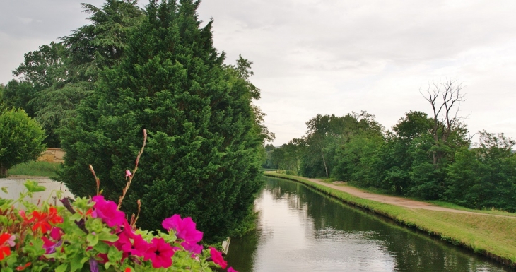 Le canal - Briennon
