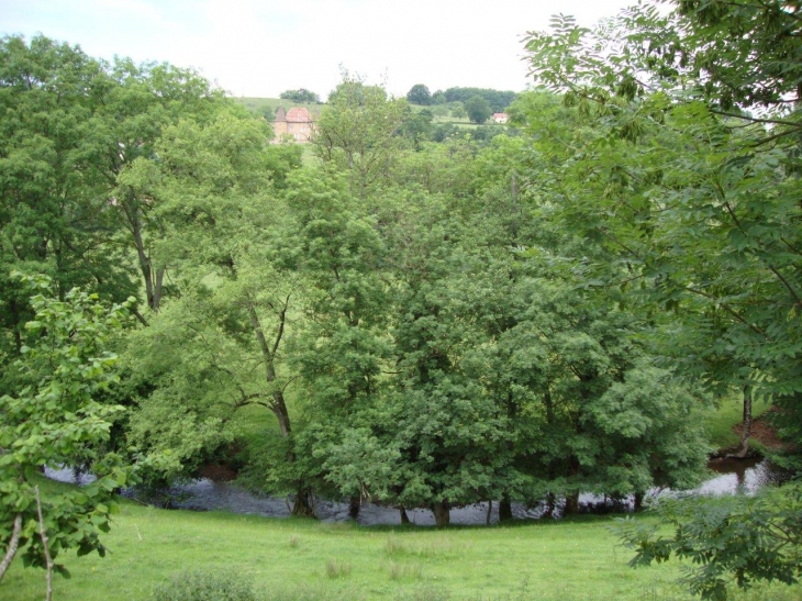 Maizilly (42750) Paysage avec le Botoret 