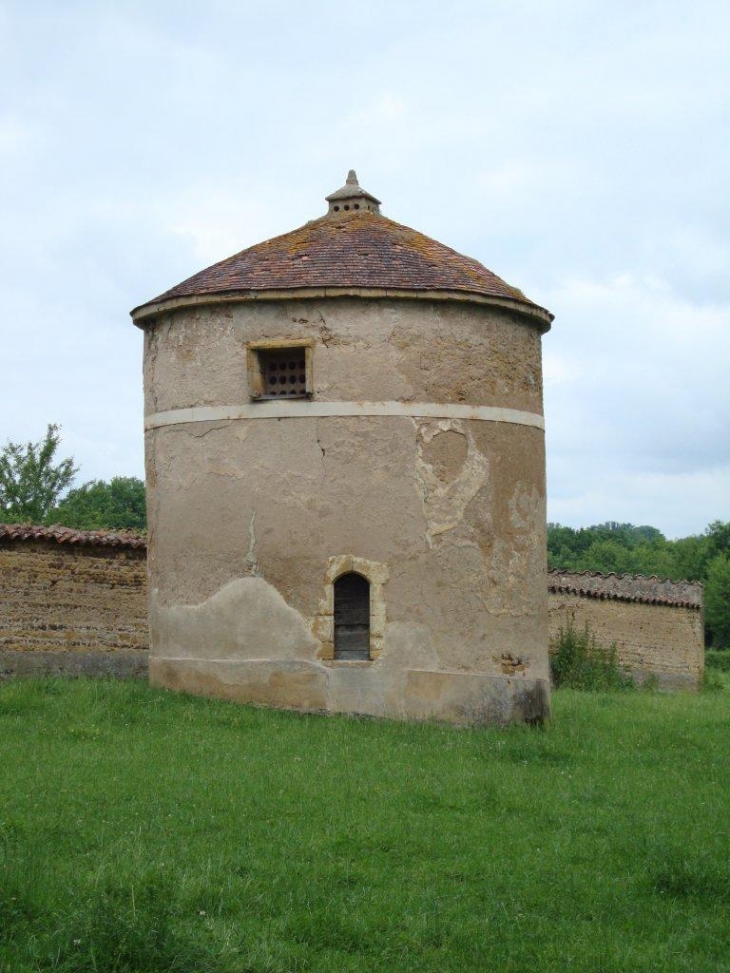 Saint-Denis-de-Cabanne (42750) pigeonnier du château de Gatellier