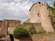 Photo précédente de Saint-Haon-le-Châtel Le Château