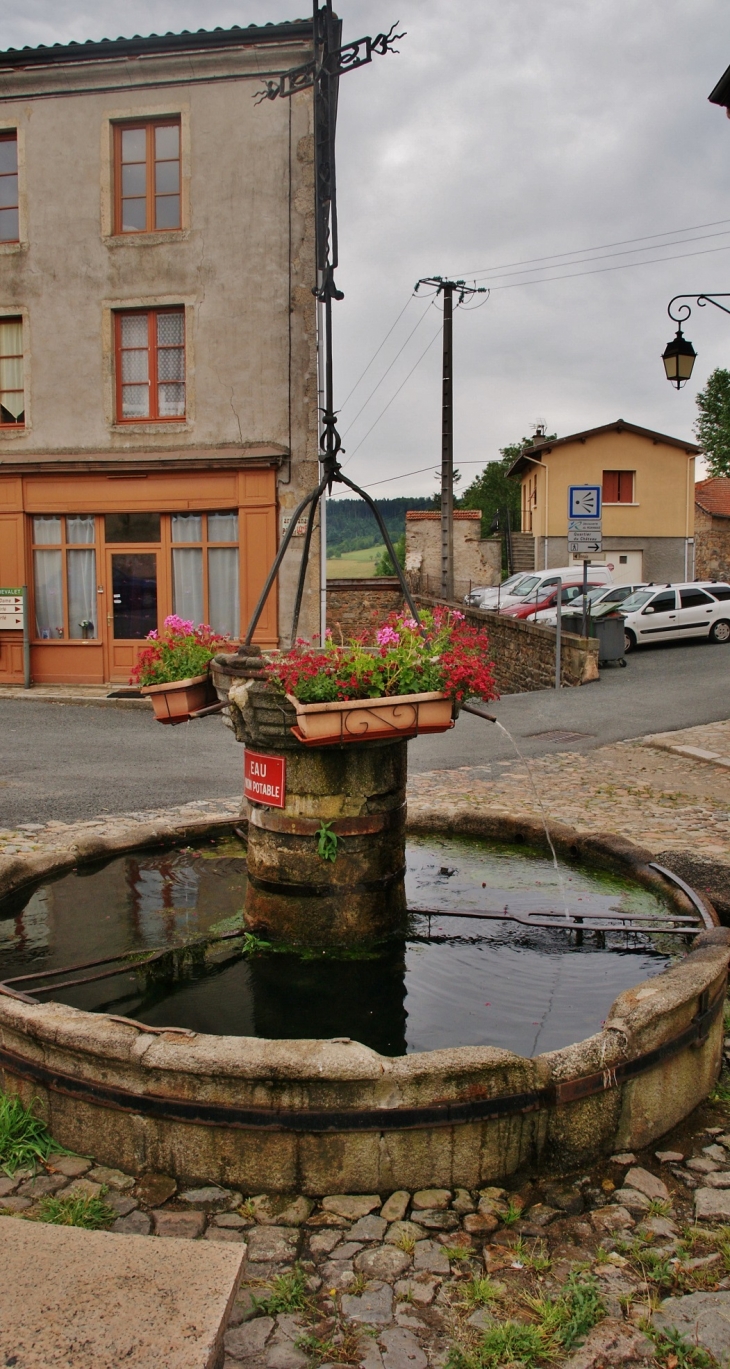Fontaine de la Conche - Saint-Just-en-Chevalet