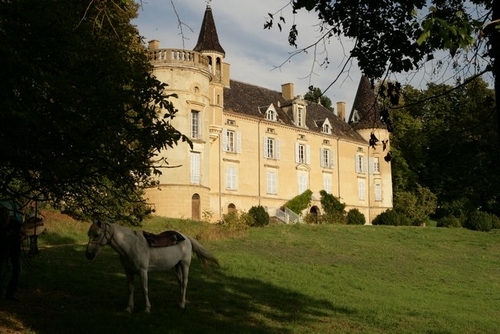 Château de la Ferrière - Saint-Médard-en-Forez