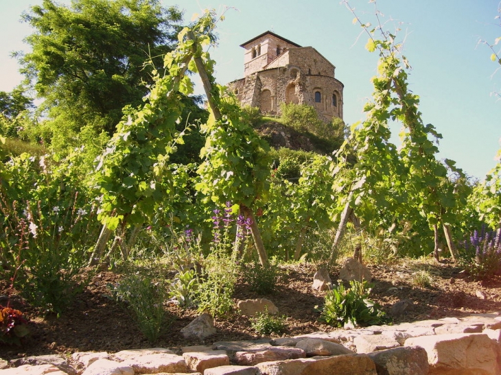 Vue du Prieuré au milieu des vignes - Saint-Romain-le-Puy