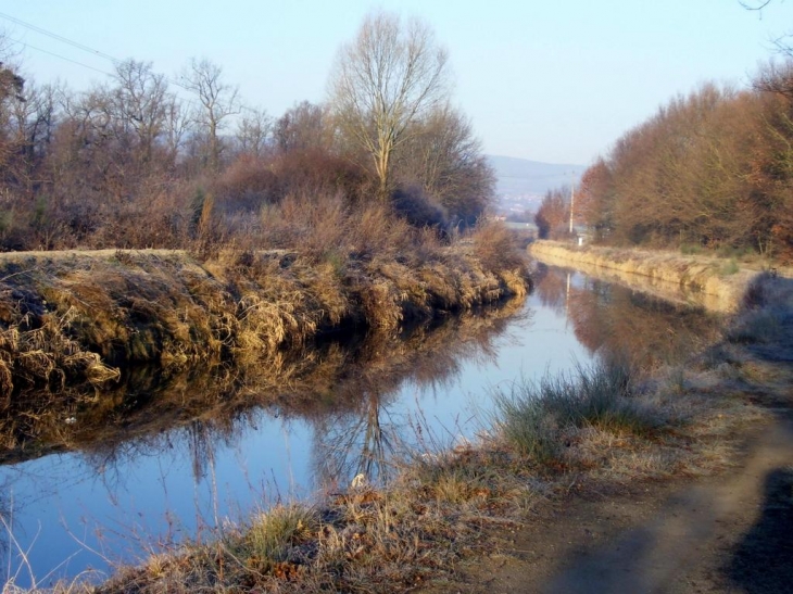 Promenade au bord du canal - Saint-Romain-le-Puy