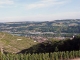 vue d'ensemble : le vignoble de côte rotie, le village, le Rhône