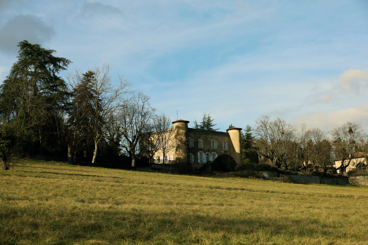 Château de Bassieux - Anse