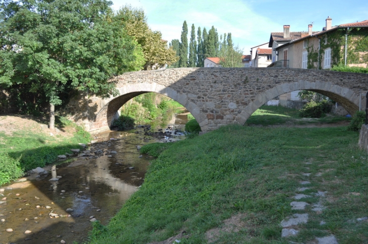 Le Vieux Pont - Brignais