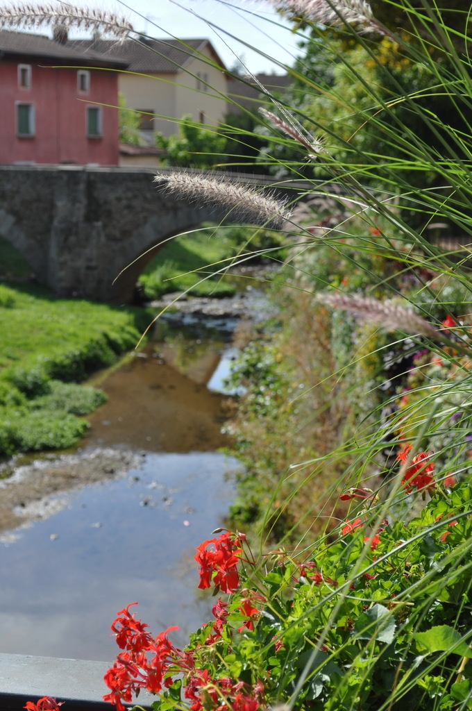 Le Garon et le Vieux Pont - Brignais