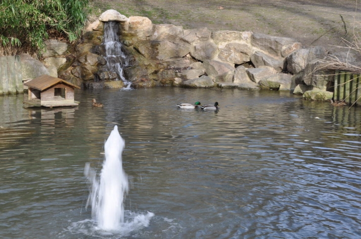 Petite fontaine est ces canards - Cailloux-sur-Fontaines