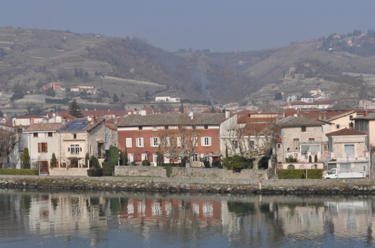 Les Berges du rhône - Condrieu