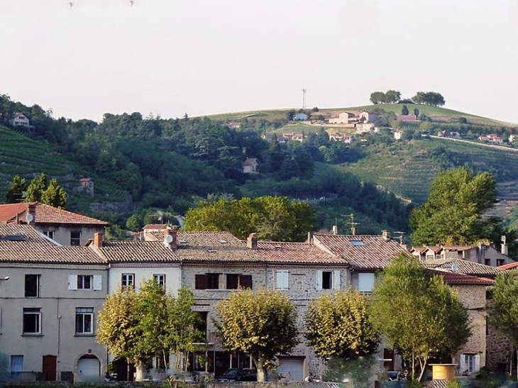 Sous le vignoble - Condrieu