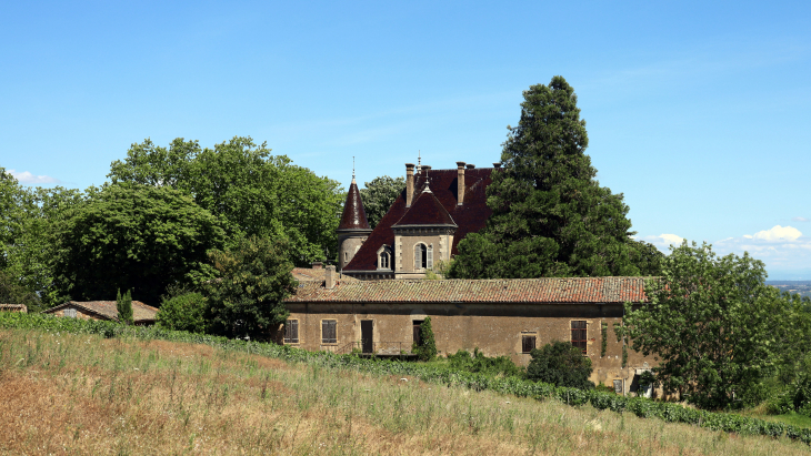 Château de Maleval - Denicé