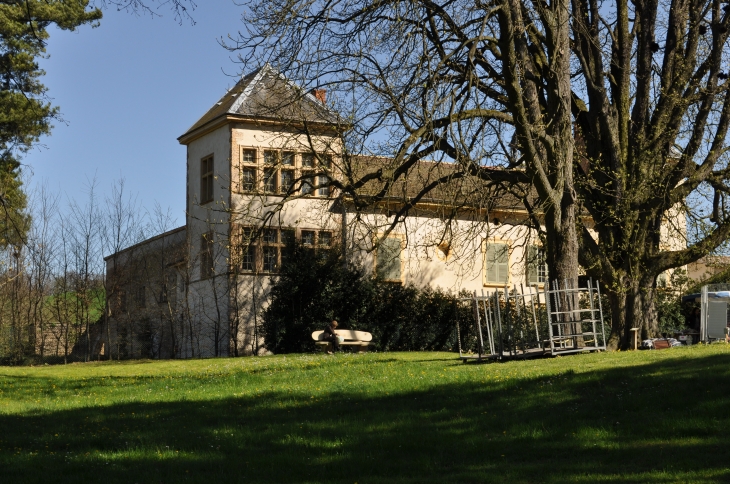 Le château de Rancé - Genay