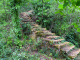 Escalier de vigne