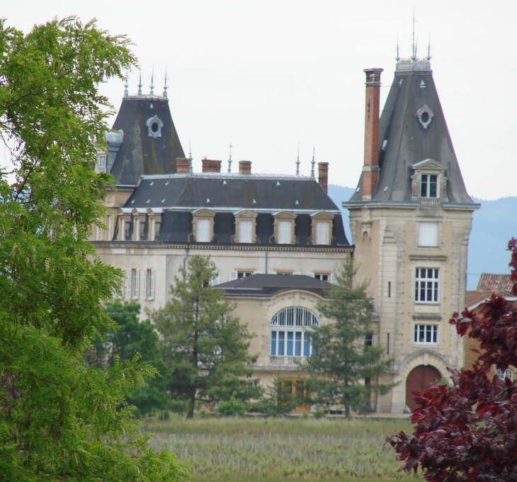 Le Château de Carbonnières - Lacenas