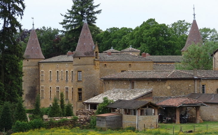 Le Château de Bionnay - Lacenas