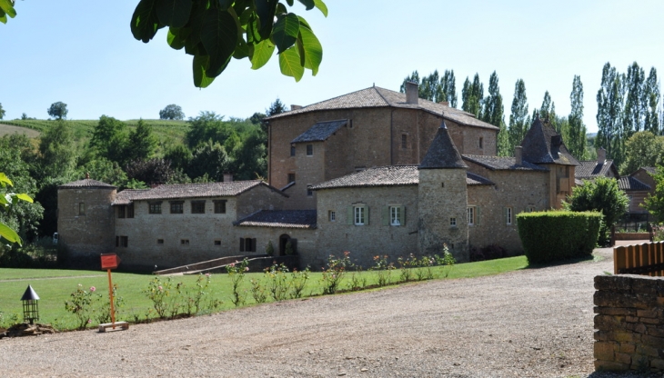 Le Château du Sou - Lacenas