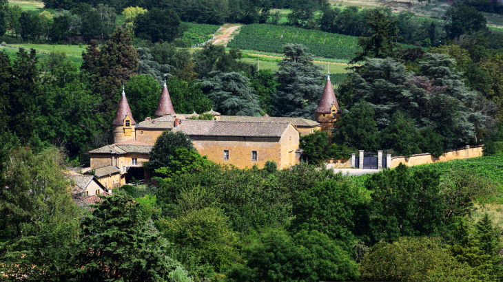 Château de Bionnay - Lacenas