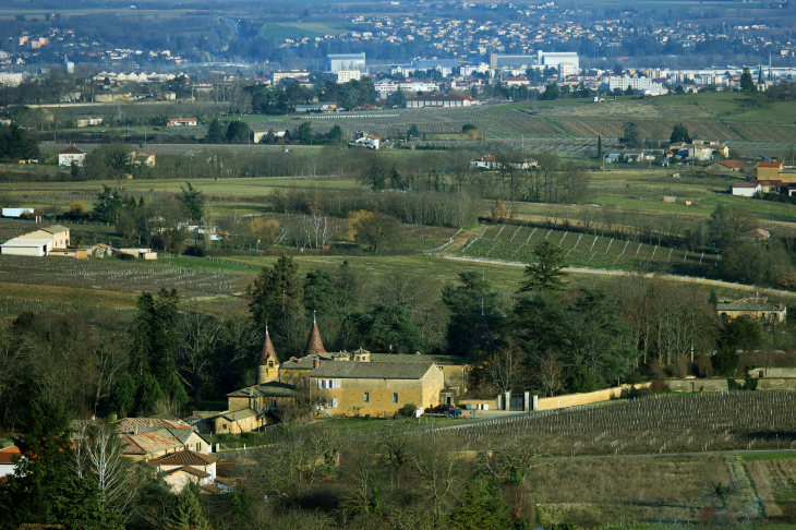 Château de Bionnay - Lacenas