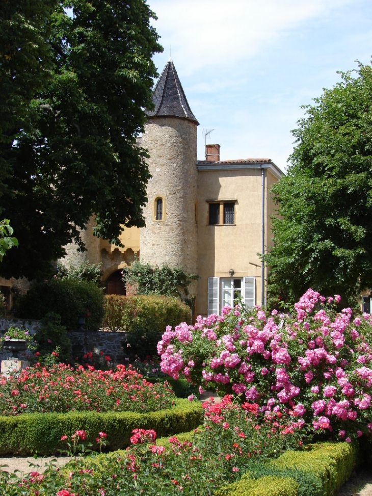 Château de Cruzols - Lentilly